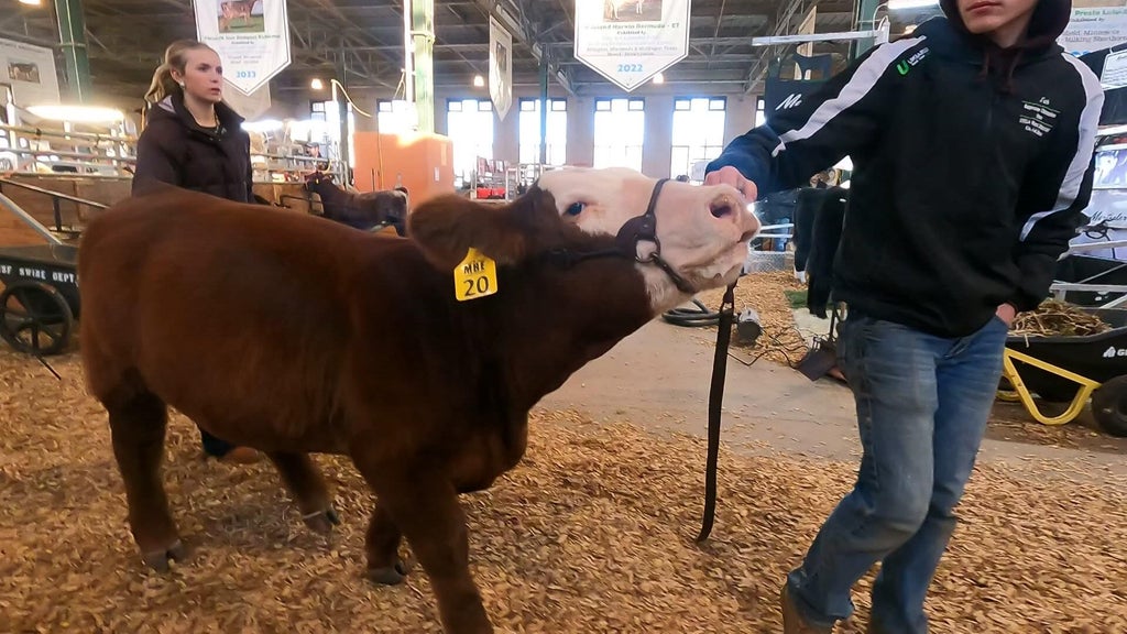 Spotlight on beef as Minnesota midterms near — WCCO / CBS Minnesota, Plymouth Community news