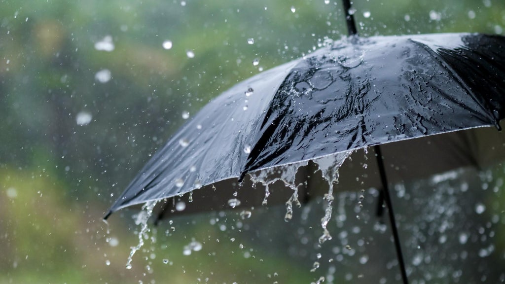 Widespread rain in Minnesota Monday; milder air returns Tuesday — WCCO / CBS Minnesota, Plymouth Community news
