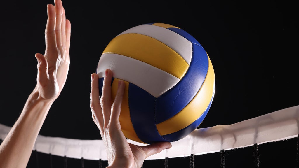 SeatGeek's first volleyball partner is the Minnesota Forge in a multiyear deal — WCCO / CBS Minnesota, Plymouth Business news