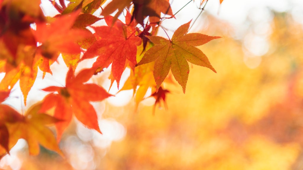 More sunny, mild late October weather in Minnesota Tuesday — WCCO / CBS Minnesota, Plymouth Business news