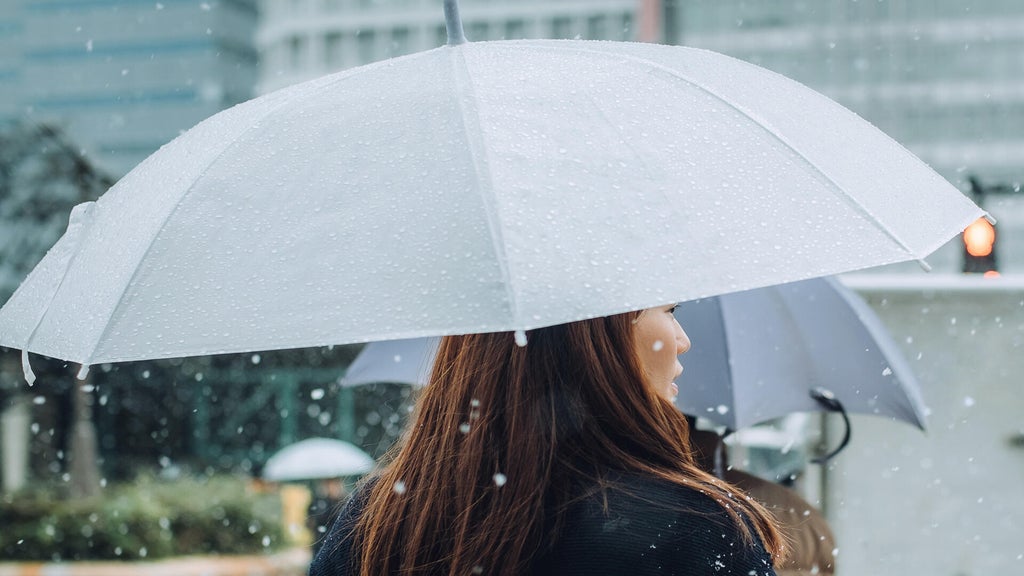Soggy, chilly Thursday in the Twin Cities; season's first frost possible Saturday — WCCO / CBS Minnesota, Plymouth Sports news
