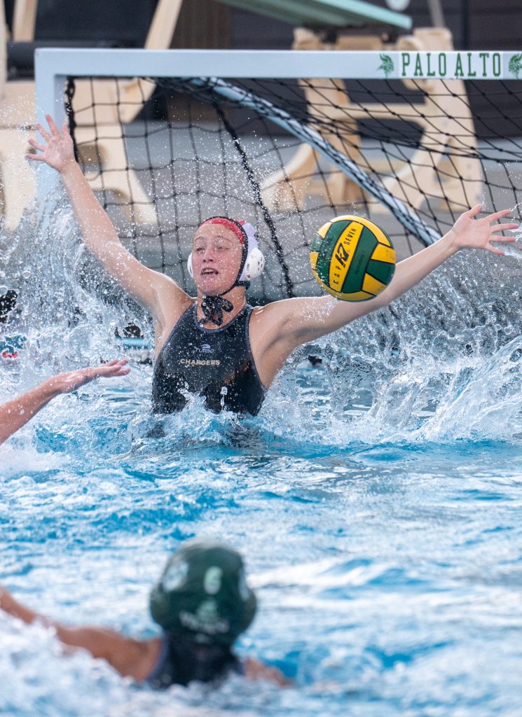 Wilcox Water Polo Caught in Vikings Rip Current — Silicon Valley Voice, Plymouth Sports news