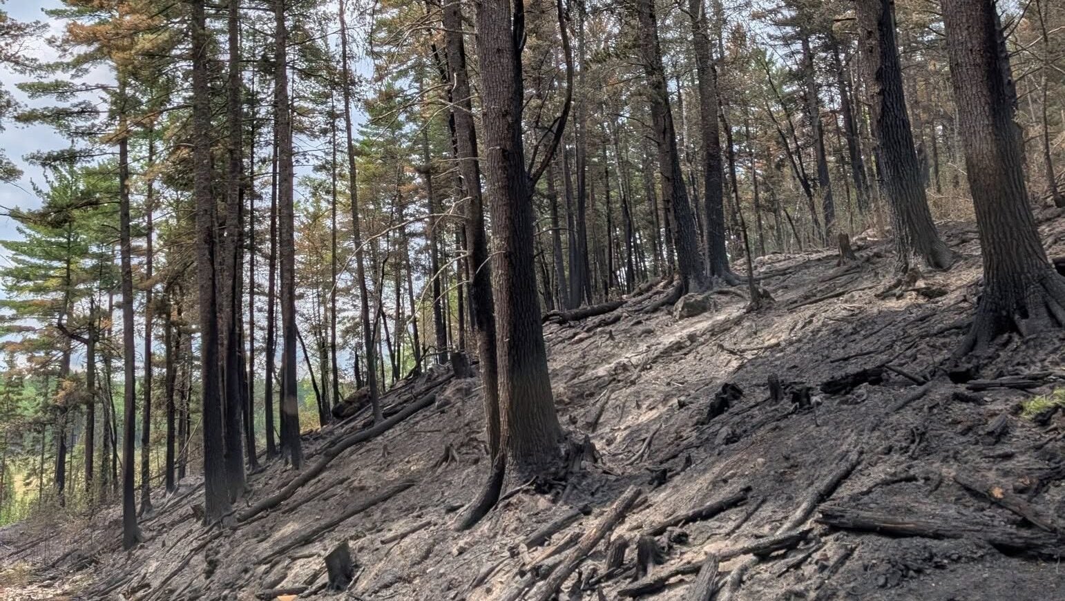 74-year-old who became separated from his family on a trail in Ely was discovered dead — KSTP 5, Plymouth Community news