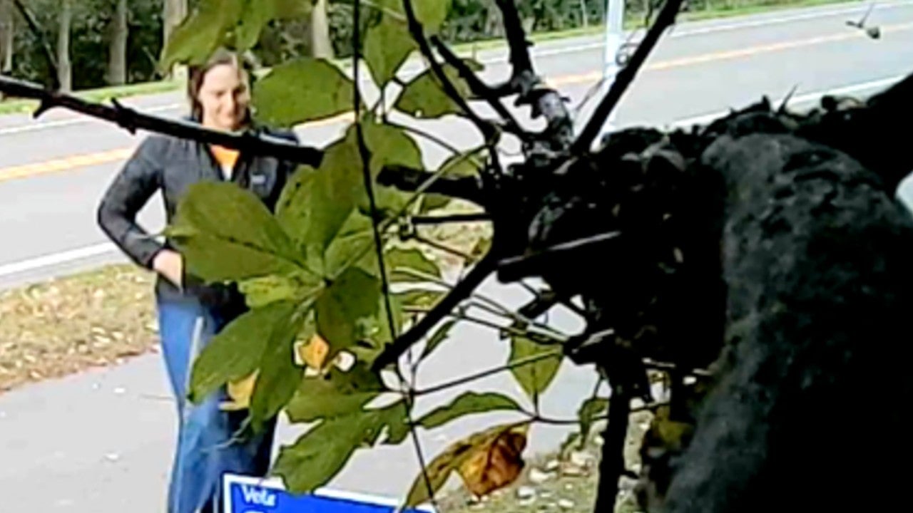 Video: Vadnais Heights council member removes mayoral candidate’s campaign sign, tosses it aside — KSTP 5, Plymouth Real Estate news