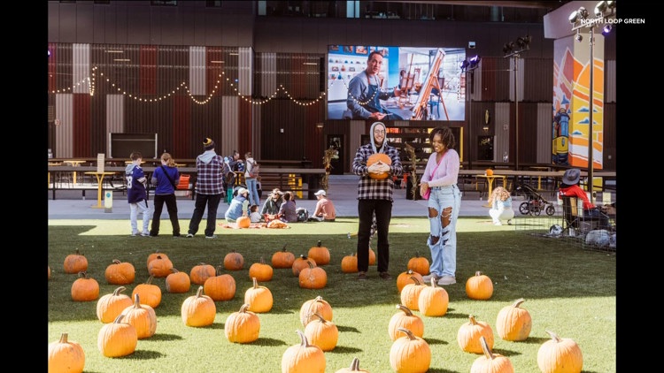 Spooky season with North Loop Green — KARE 11 Local, Plymouth Sports news