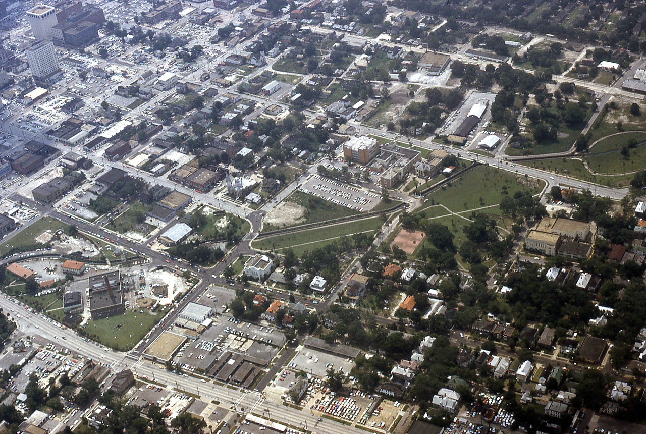 THE JAXSON | The oak tree that remembers Black Bottom — Jacksonville Today, Plymouth Schools news