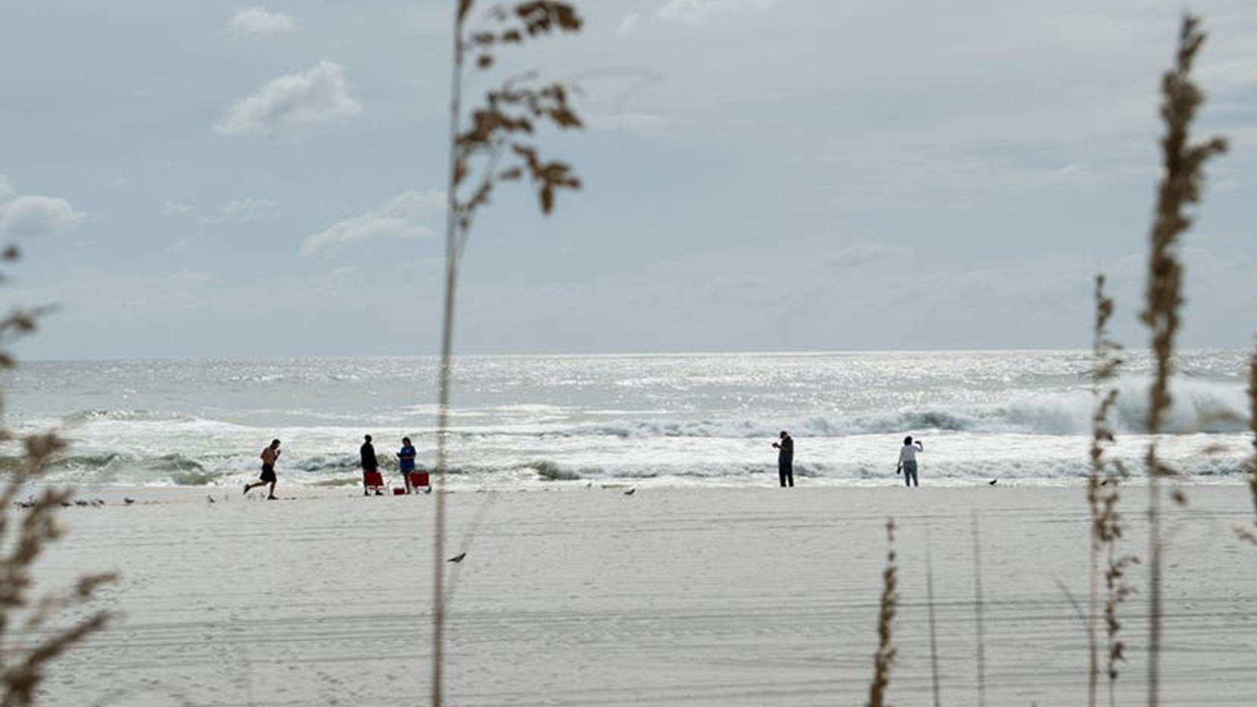 Father of 2 drowns after being caught in current trying to rescue seagull caught in fishing line — Plymouth Community news