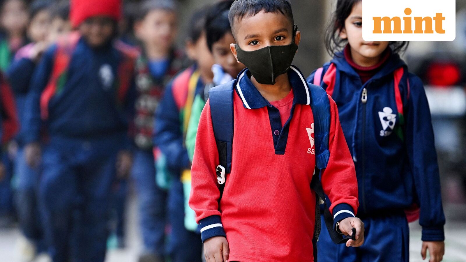 Chennai school holiday, Oct 21: Schools shut in four Tamil Nadu districts as heavy rains predicted | Check IMD alert — Mint India, Plymouth Schools news